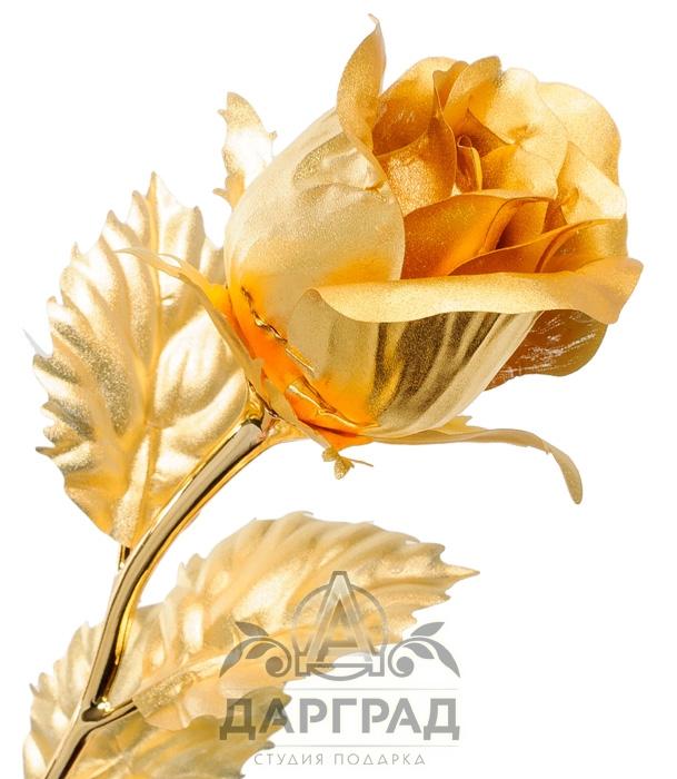 Роза